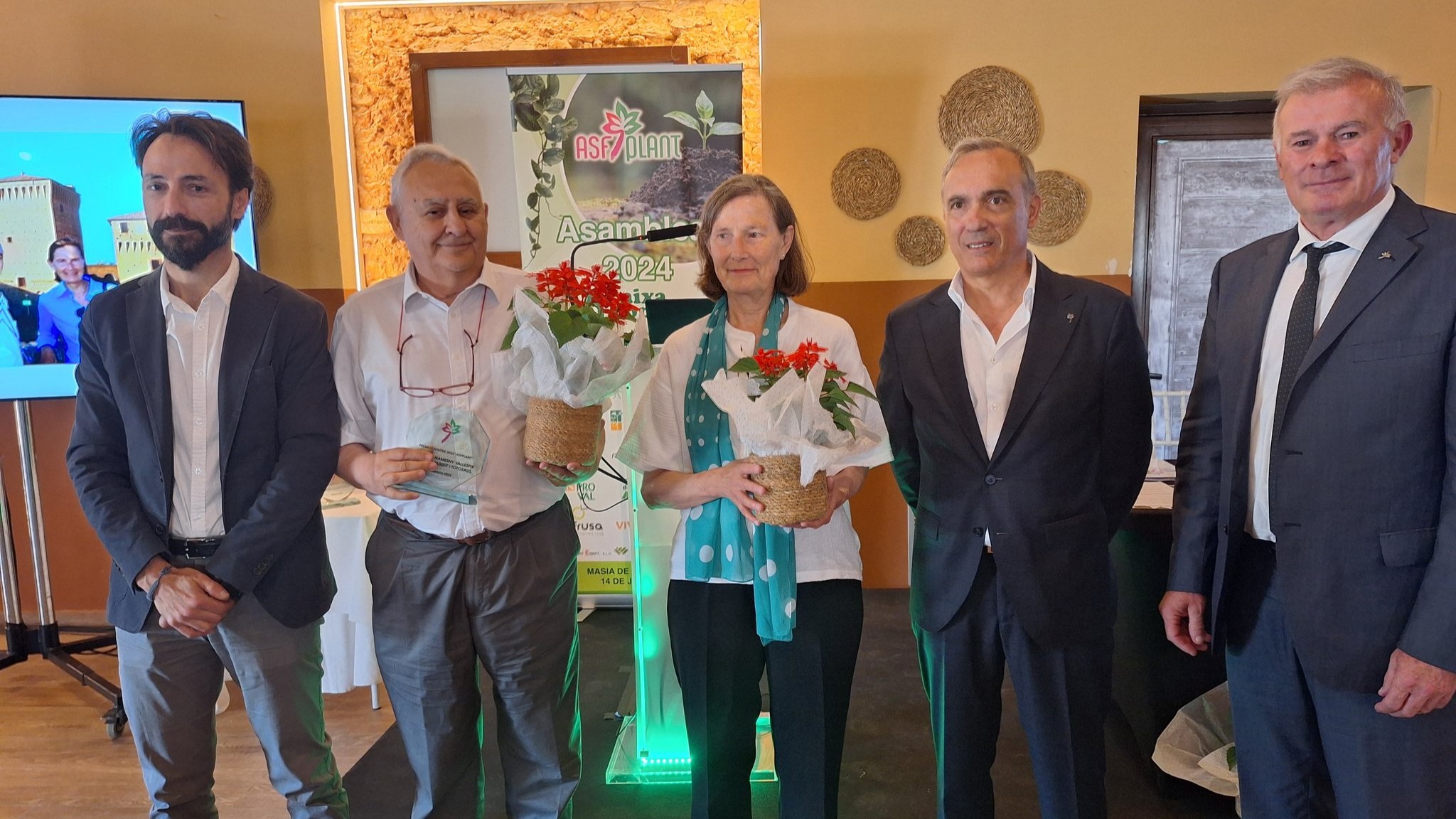 asfplant Pere Alicia